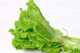 Лист Салатный  пучок 994951 по цене 117₽